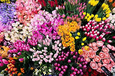 银河恶魔城新游《Mariachi Legends》开启众筹一天就达标