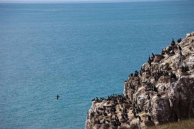 《拳皇15》麻宫雅典娜角色设定图 新服装性感