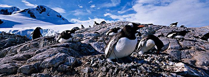 开放世界推箱子冒险游戏《海天岛传说》宣传片 中文Demo上线